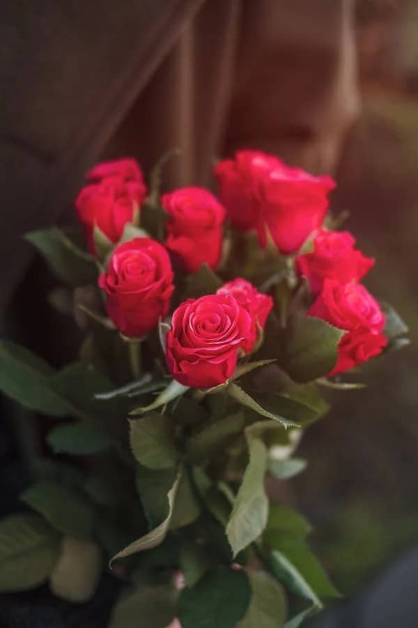 Saint Valentine's Legacy and Holiday